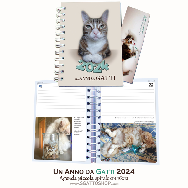 Agende e calendari gattofili UN ANNO DA GATTI 2024 – Gattodiario